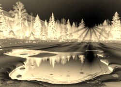 Sepia + Negatyw