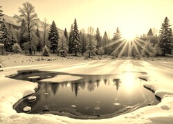 Sepia