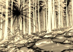 Sepia + Negatyw