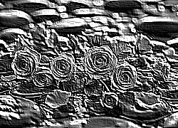 Skamielina