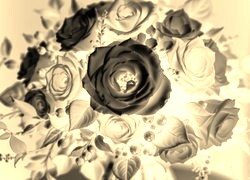 Sepia + Negatyw