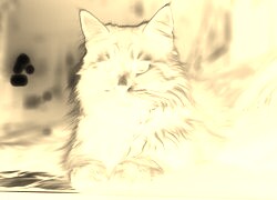 Sepia + Negatyw