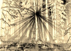 Sepia + Negatyw