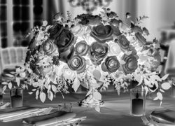 Szary + Negatyw