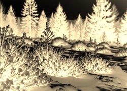 Sepia + Negatyw