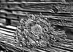 Skamielina