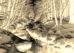 Sepia + Negatyw