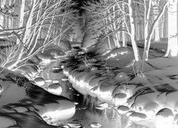 Szary + Negatyw