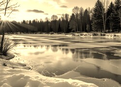 Sepia