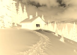 Sepia + Negatyw