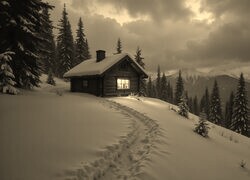 Sepia