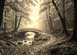 Szary + Sepia