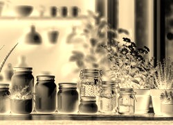 Sepia + Negatyw