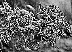 Skamielina