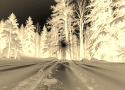 Sepia + Negatyw