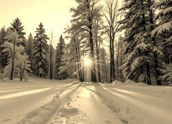Sepia