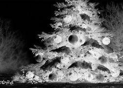 Szary + Negatyw