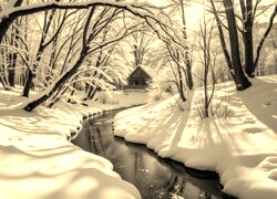 Szary + Sepia