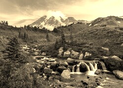Szary + Sepia