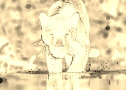 Sepia + Negatyw