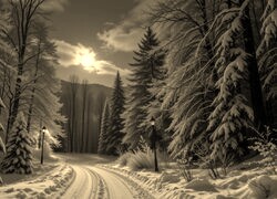 Sepia