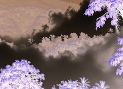 Negatyw