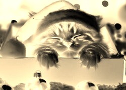 Sepia + Negatyw