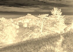 Sepia + Negatyw