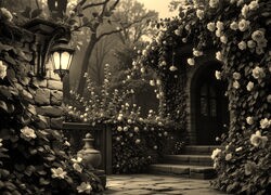 Sepia
