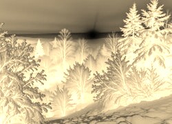 Sepia + Negatyw