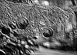 Skamielina