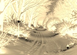 Sepia + Negatyw