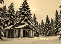 Szary + Sepia