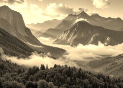 Sepia
