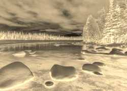 Sepia + Negatyw