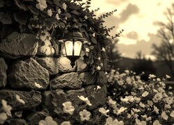 Szary + Sepia