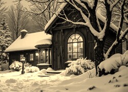 Sepia