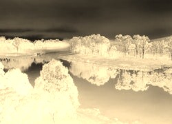 Sepia + Negatyw