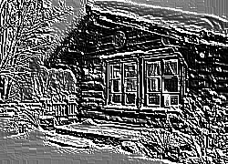 Skamielina