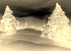 Sepia + Negatyw