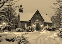 Szary + Sepia