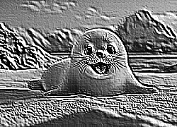 Skamielina