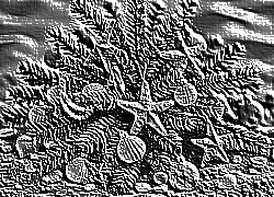 Skamielina