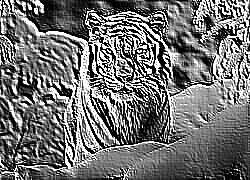 Skamielina