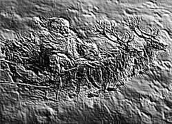 Skamielina