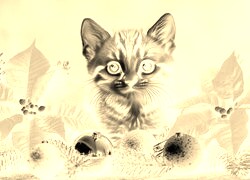 Sepia + Negatyw