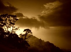 Sepia