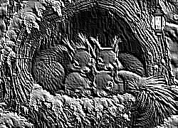 Skamielina