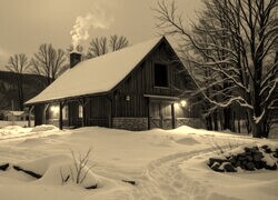 Sepia