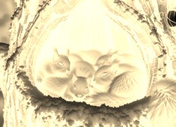 Sepia + Negatyw